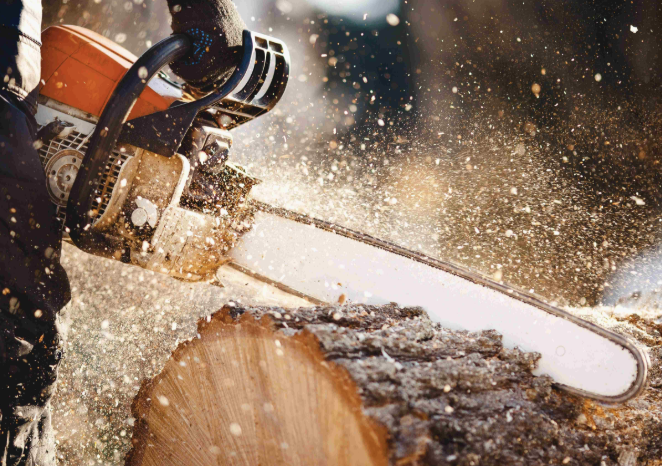 [Tribune] Projet de loi de simplification : L’écologie devient la coupable idéale, alors qu’elle devrait être notre boussole collective