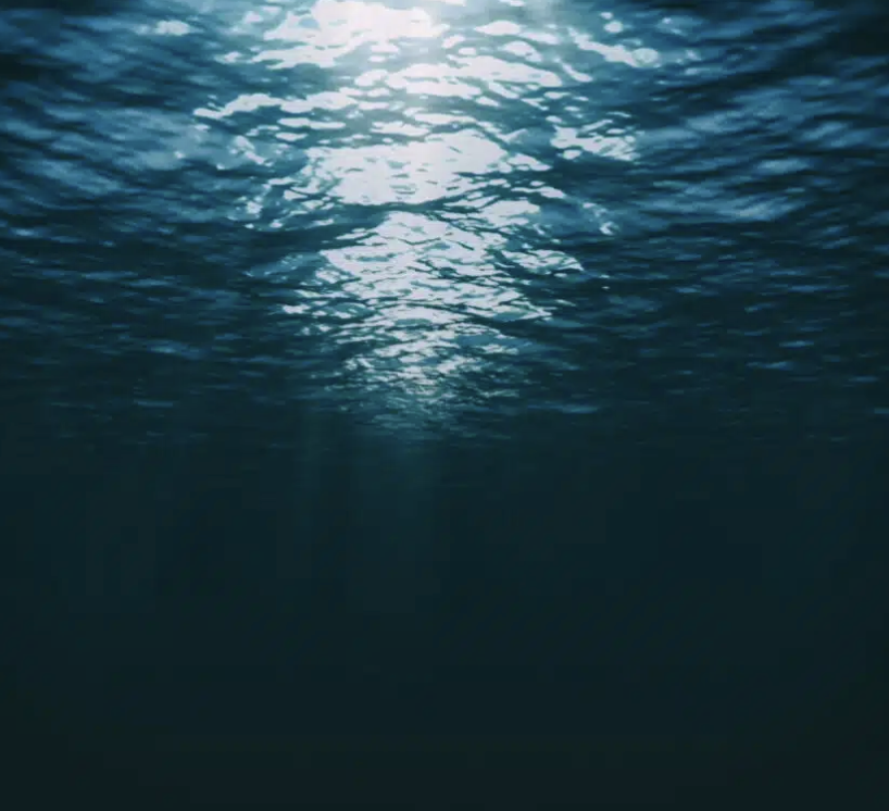 [Tribune] Sauvons nos océans, sauvons le climat, non à l’exportation et au stockage sous-marin du CO₂